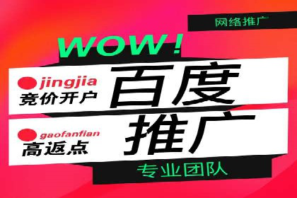 SEM代运营托管公司案例深度解读